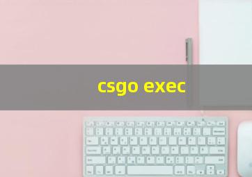 csgo exec